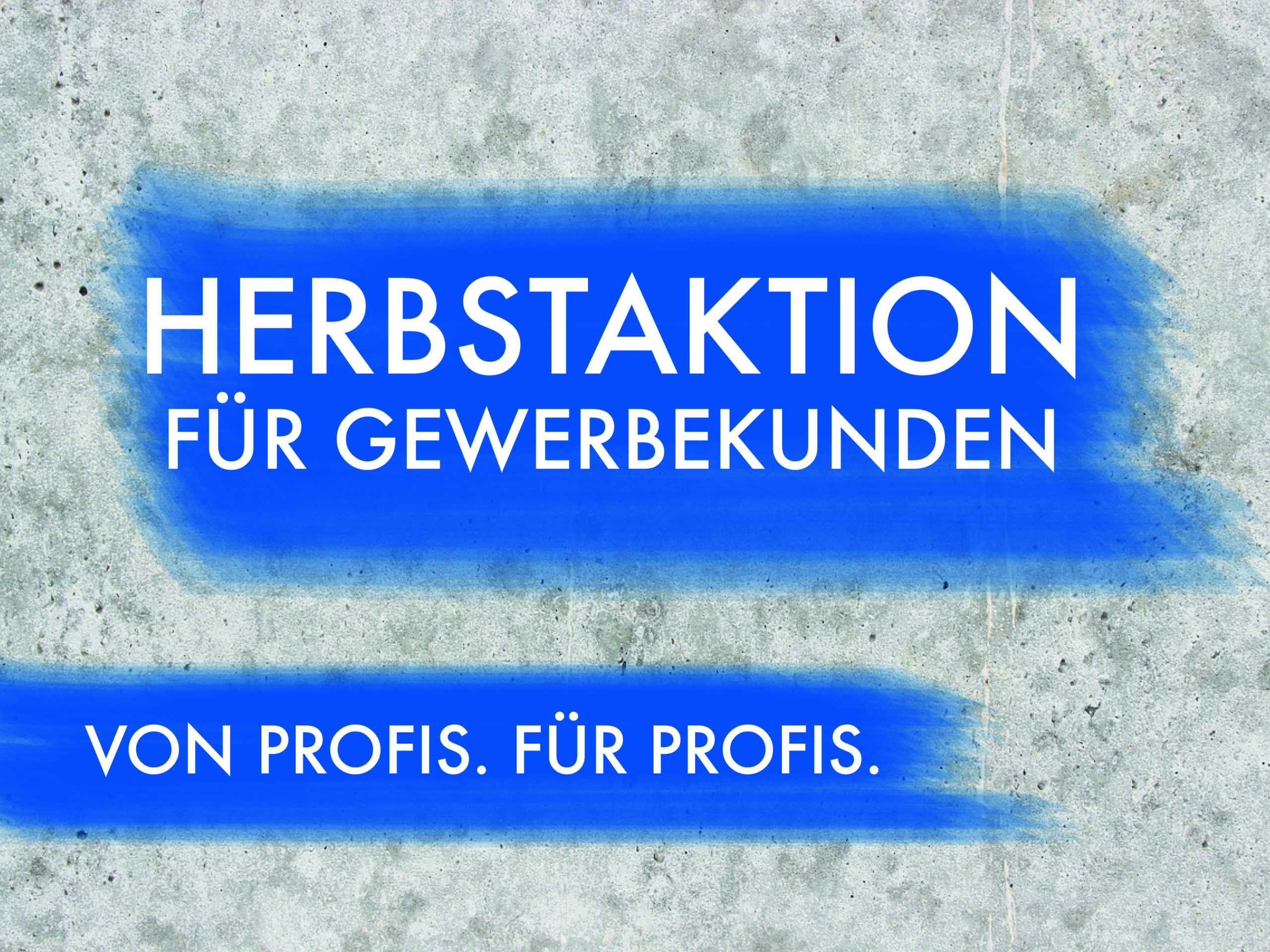 Löffler-Herbstaktion
